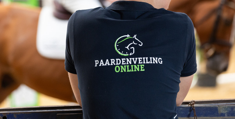 The jumping champions of tomorrow: Paardenveilingonline auctions promising 3 to 6-year-olds!