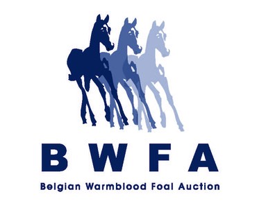 BWFA logo