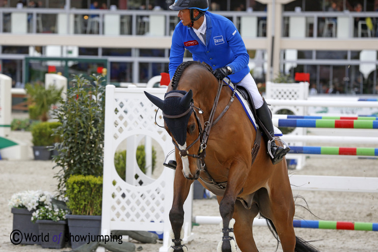 A very fit 17-year-old Avenzio 3. His rider, Taizo Sugitani, is hoping to participate in his 6th Olympic Games this year. 