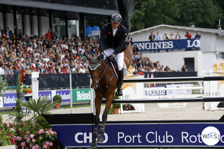 Marc Houtzager's 9 year old Sterrehof's Calimero impressed during the Grand Prix. 