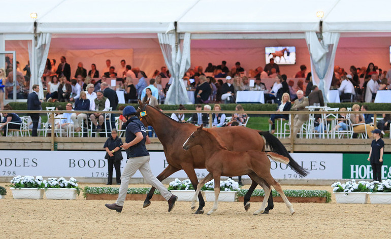 Image (c) Equerry Bolesworth International Horse Show Elite Auction