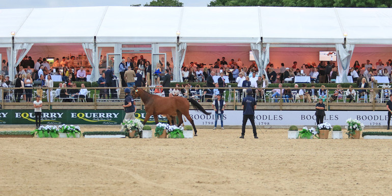 Image (c) Equerry Bolesworth International Horse Show Elite Auction 