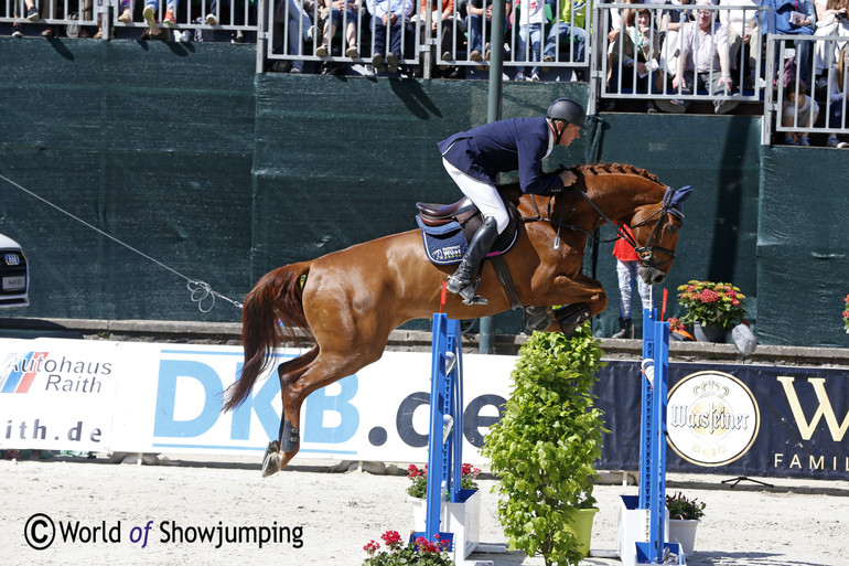 Joachim Heyer did a very good round in the Grand Prix with Aquarell - unfortunately the second last fence fell. 