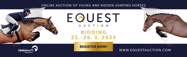 Equest Auction
