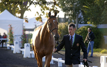 Best dressed? The Brits looked very good - here Scott Brash with Hello Sanctos.