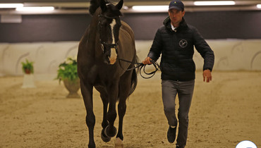 All horses through the second vet inspection at the Longines FEI World Cup Final