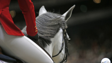 The 2020-edition of Fieracavalli Verona cancelled