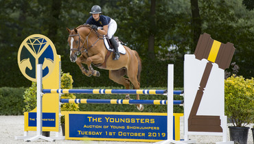 The Youngsters  - Auction of Young Showjumpers presents:  2019 Collection of ridden sporthorses & loose jumpers