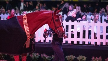 The Youngsters: top-seller Unicorn goes to Olympic gold medalist McLain Ward