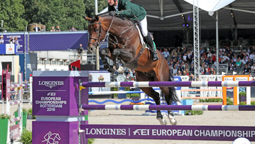 From youngster to international Grand Prix horse: Balou du Reventon