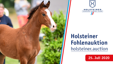 2nd Holsteiner Online Foal Auction Sale with top genetics