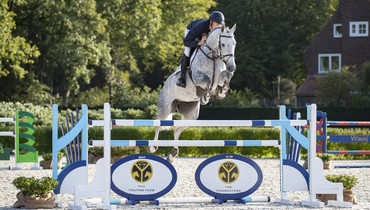 Modern sporthorses in 3rd edition of The Youngsters