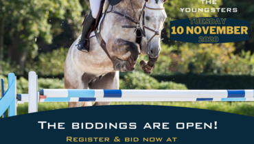 The Youngsters: Online biddings are open - register & join the bidding!