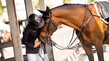 Bliss Heers: “We should promote good horsemanship, not only the wins, the medals and the social scene around the sport”