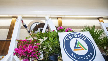 Trigon Auctions starts 2021 with 3-year-olds