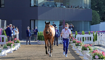 All jumping horses pass Olympic veterinary inspection