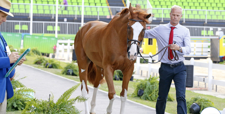 All horses pass the final inspection in Rio