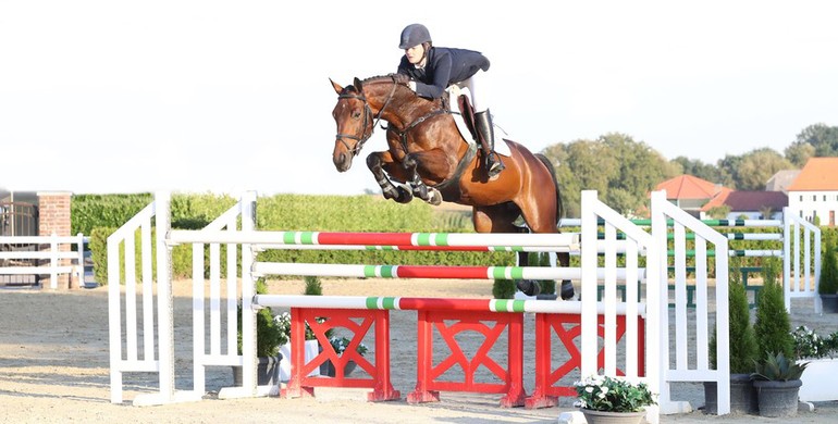 Brewery assistance Inhibit Holger Hetzel Sport Horse Sales presents: Billie Jean (Wup x Ferro) | World of Showjumping Brewery assistance Inhibit Holger Hetzel Sport Horse Sales presents: Billie Jean (Wup x Ferro) | World of Showjumping