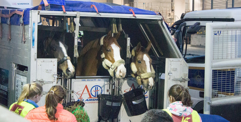 Equine royalty arrives in Hong Kong