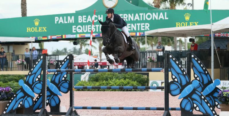 The 2019 Winter Equestrian Festival opens with a win for McLain Ward