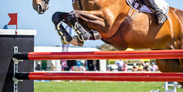 Aaron Hadlow and Vahlinvader reign supreme in the FEI Jumping World CupTM Australian League