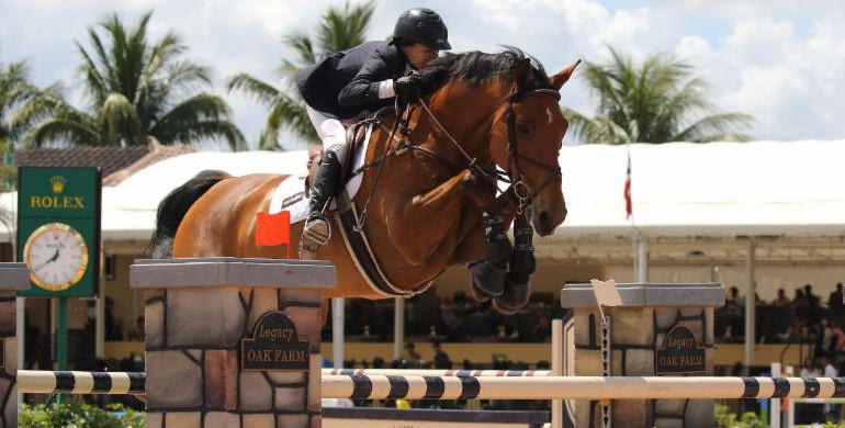 Laura Chapot and Chandon Blue conclude WEF 2019 with fourth major win within five weeks