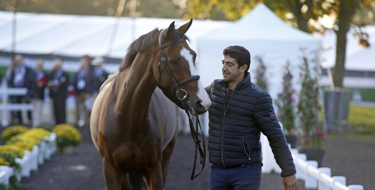 Images | The trot-up - part one