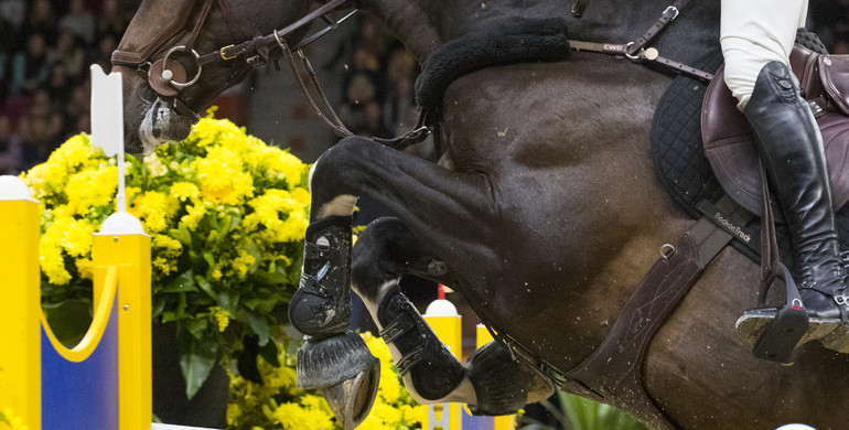 Sweden International Horse Show postponed to February 2021