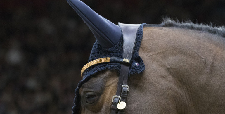 Helsinki International Horse Show's 2020-edition cancelled