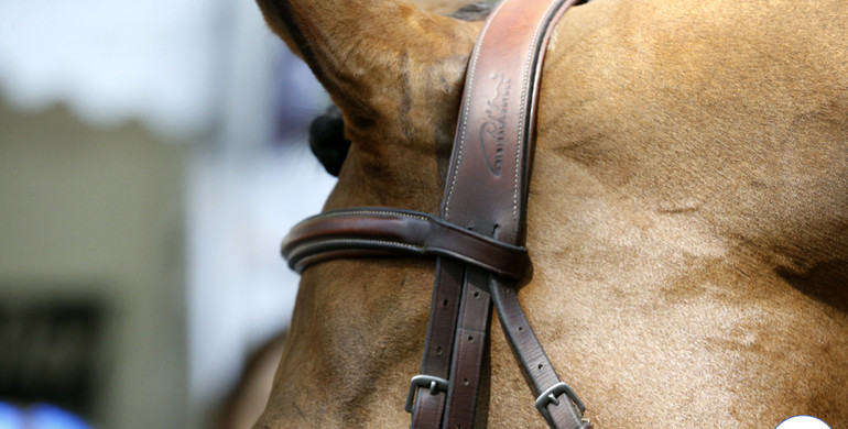 FEI recommends cancellation of FEI events due to Coronavirus