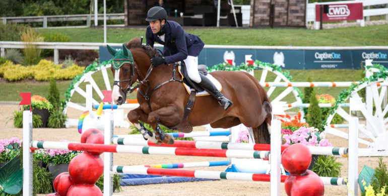 Rowan Willis and Cartouch III make debut in Traverse City with $36,600 Staller Welcome Stake CSI4* win