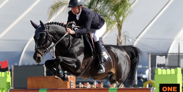 Olivier Guillon and Vitot du Chateau to the top in Vilamoura