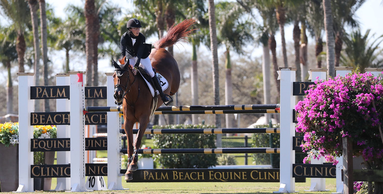 Wilton Porter and Diamonte Darco dominate in the $37,000 Palm Beach Equine Clinic 1.45m qualifier CSI2*