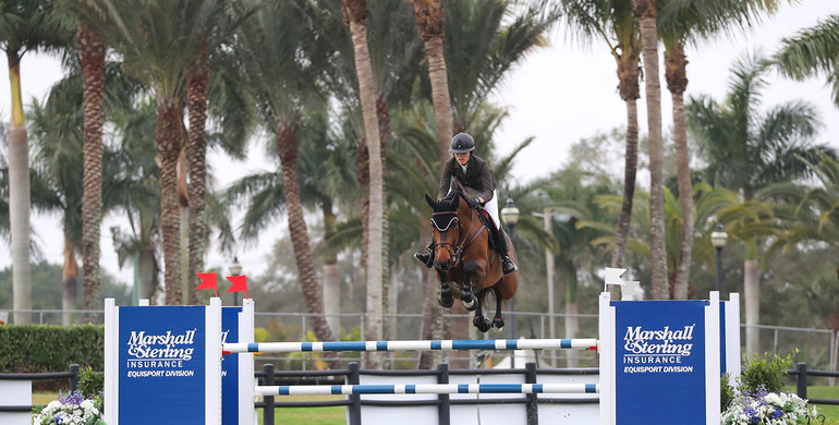 Karen Polle and Jet Run fly high in the $50,000 Palm Beach Equine Clinic 1.45m Grand Prix CSI2*