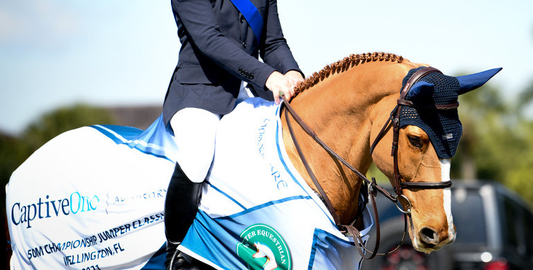 From youngster to international Grand Prix horse: Contagious