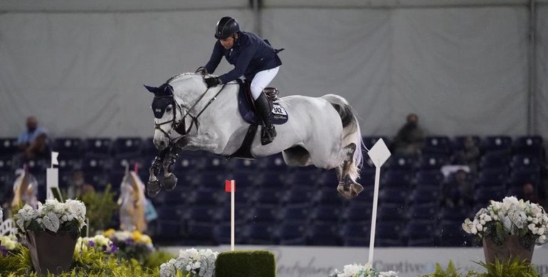 From youngster to international Grand Prix horse: Kilkenny
