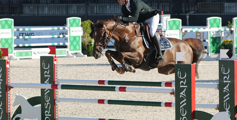 Conor Swail and Theo 160 swing $6,000 Speed Stake CSI 2* win