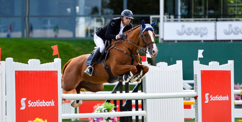 Nayel Nassar and Oaks Redwood win the Scotiabank Cup at Spruce Meadows 'North American'