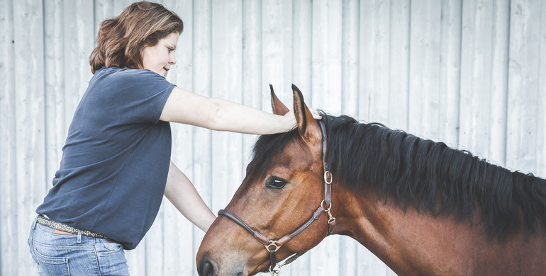 Equine 74 Gastric: Interview with Dr. vet. Katharina Mang - The connection between colic and stomach ulcers