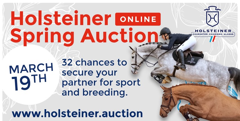 36th Holsteiner Spring Auction: 32 special talents carrying choice genes