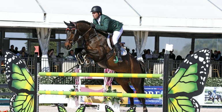 Images | The Winter Equestrian Festival - Part one