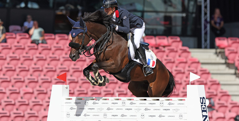 From youngster to international Grand Prix horse: Cayman Jolly Jumper