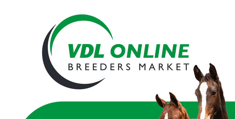 VDL Online Breeders Market: A new group of foals online