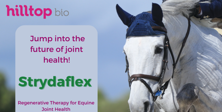 Hilltop Bio launches Strydaflex for equine joint health