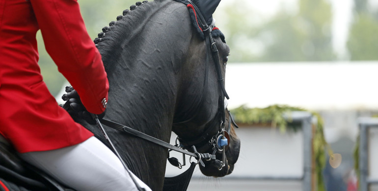 Images | The Longines Global Champions Tour Grand Prix in Hamburg - Part two