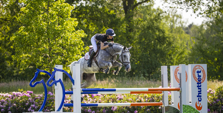 CSI Ommen presents exceptional collection of showjumpers & Prinsjesdag foals