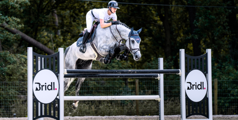 Beyond showjumping: The impressive lineage of Chacoon's Life PS & Camargo