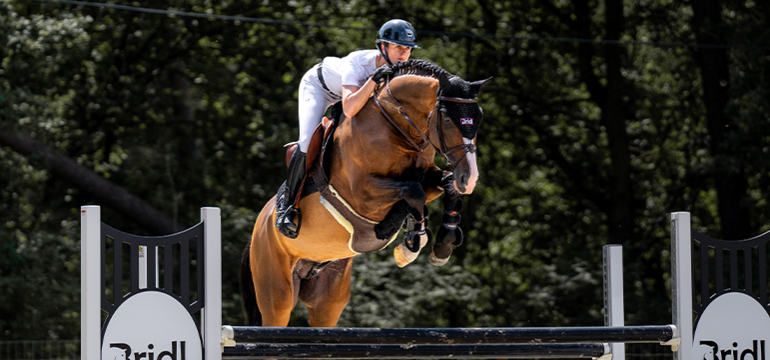Unleash the power of pedigree: Unlocking the potential of top show jumping horses