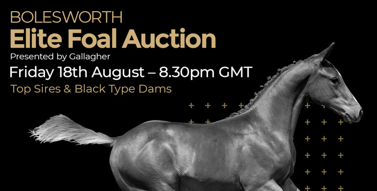 Bolesworth Elite Auction collection set to break the hearts of the underbidders – Don’t miss out!!