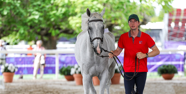 All horses pass first veterinary inspection at the FEI Jumping European Championship 2023